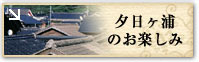 夕日ヶ浦のお楽しみ